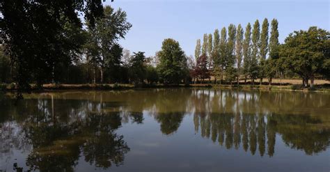 METEO L'ETANG.